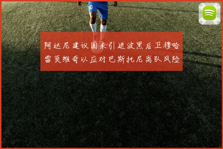 阿达尼建议国米引进波黑后卫穆哈雷莫维奇以应对巴斯托尼离队风险